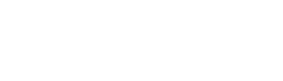 Star Agassi Consulting