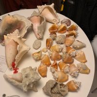 How does the Shell Whisperer part 2 build bridges of understanding?